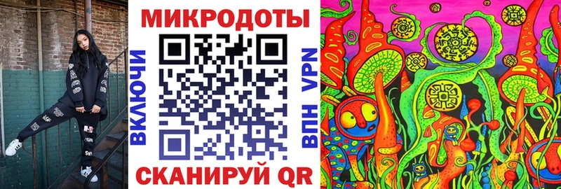 Купить закладки  Ачхой-Мартан  Галлюциногенные грибы MAGIC MUSHROOMS 